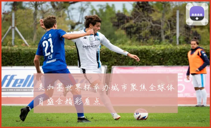 美加墨世界杯举办城市聚焦全球体育盛会精彩看点