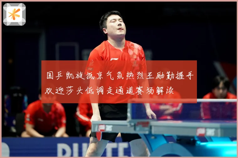 国乒凯旋抵京气氛热烈王励勤握手欢迎莎头低调走通道赛场解读