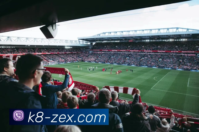 K8凯发登录平台解析助力用户轻松体验极速游戏与全新娱乐世界